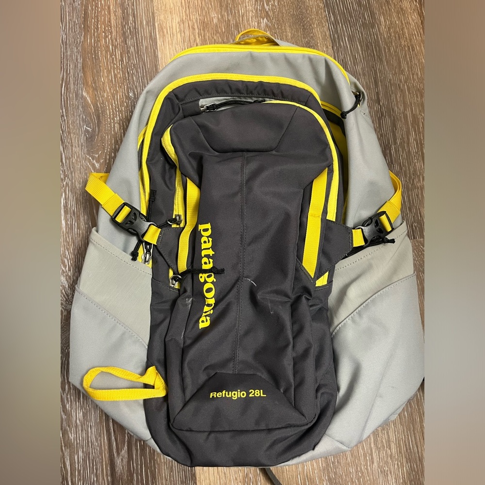 Patagonia Backpack.
